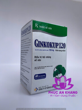 Ginkokup 120